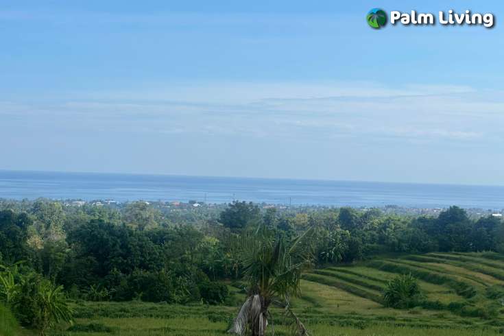 Land for Sale with Stunning Views in Panji