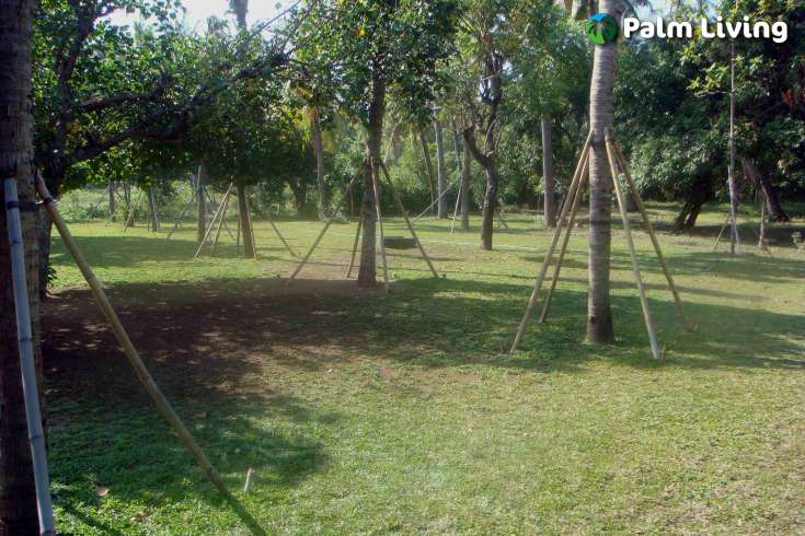 Prime Land for Sale - Development