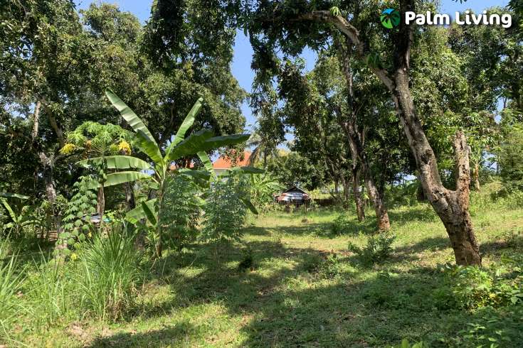 Landplot for Sale in Kaliasem