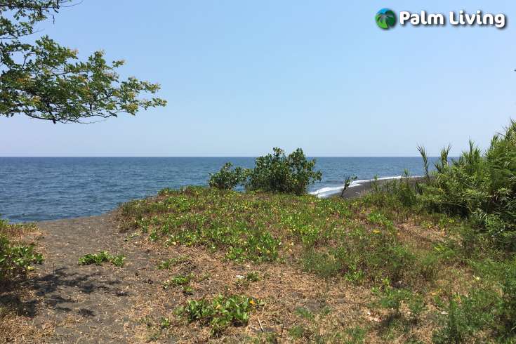 Beachfront Land for Sale in Singaraja