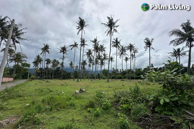 Large Plot of Land for Sale 1.6ha