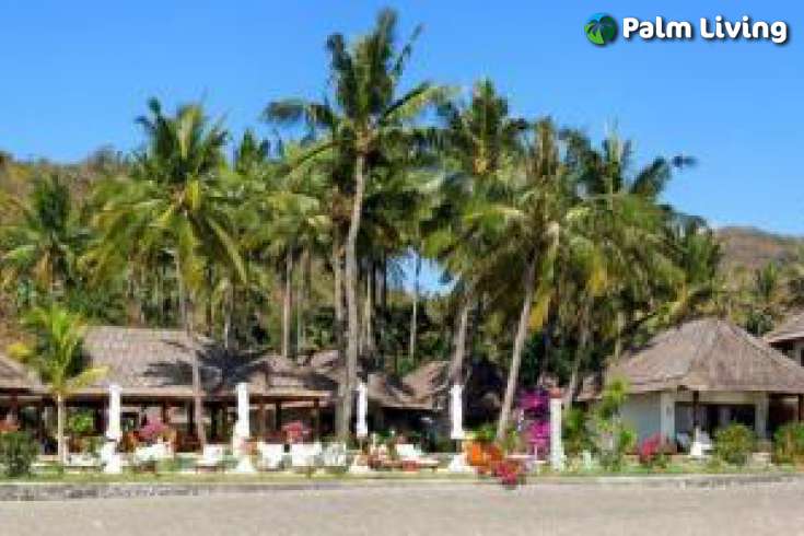 Amed Beachfront Hotel For Sale
