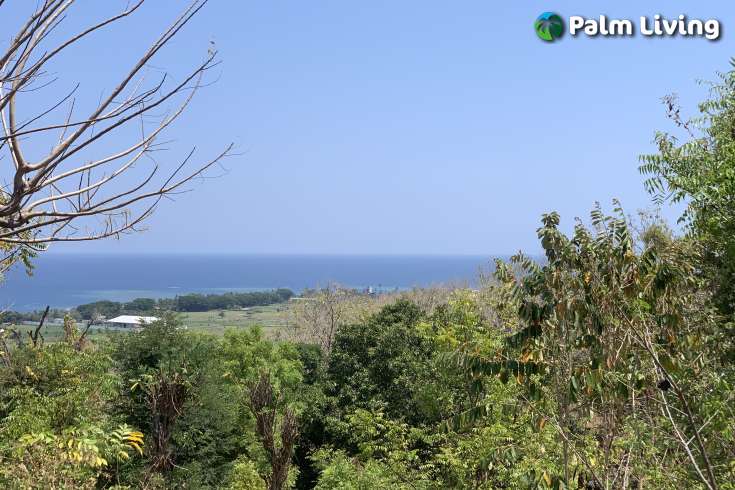 Hillside Plot with Ocean View