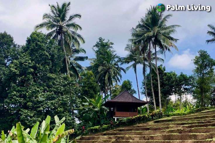 Tabanan mountain resort for sale