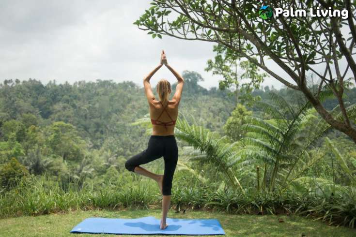 Ubud Mountain Resort for Sale