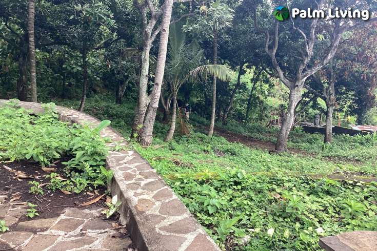 Panoramic Land for Sale in Kayuputih