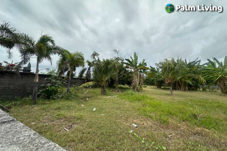 Beachfront Land West Lovina for Sale