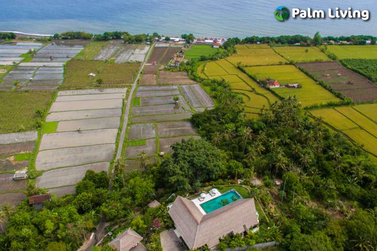 Umeanyar Hill Top Villa Bali