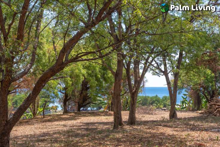 7700m2 plot in tranquil Umeanyar