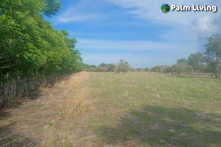 Tranquil Land For Sale in Sumba
