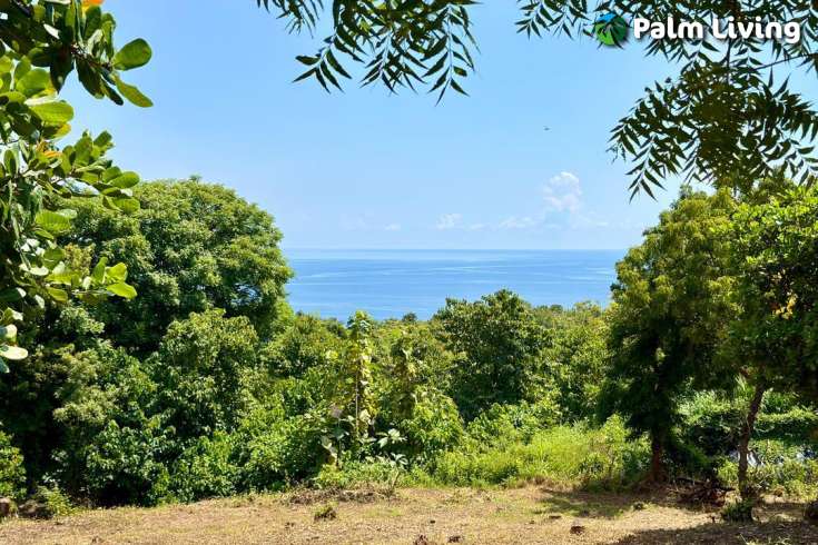 Ocean View Land for Sale in Pacung, North Bali