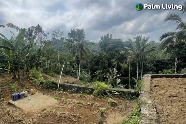 Tegallalang Land for Sale with Good View