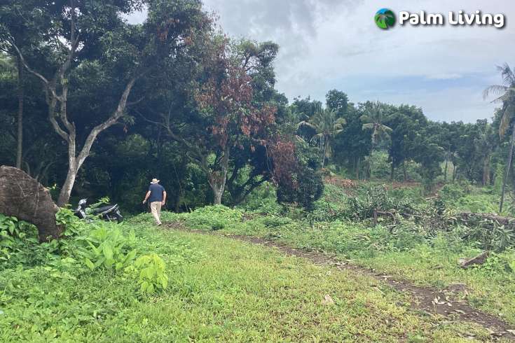 Panoramic Land for Sale in Kayuputih