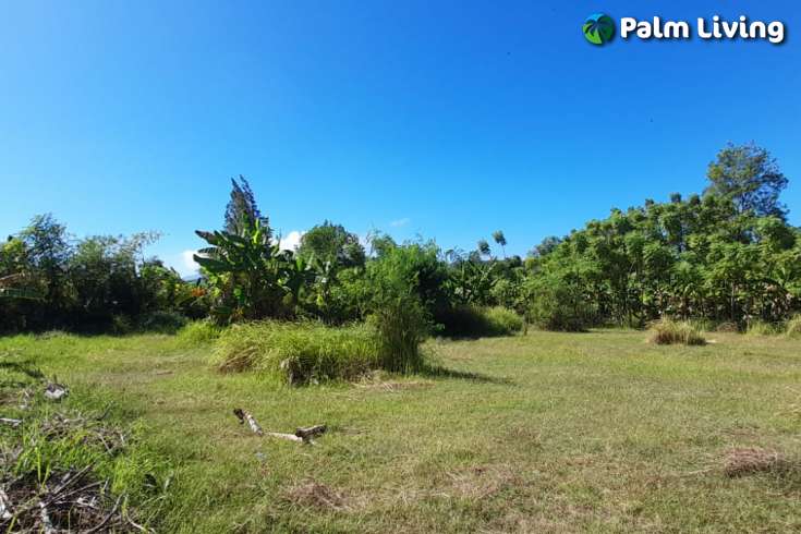 Luxury Balinese Beachfront Villa Dencarik