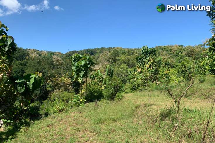 Sloping Land with Ocean & Jungle Views