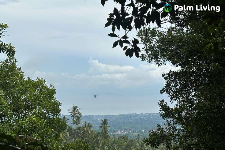Land For Sale in Panji with Beautiful Sea View