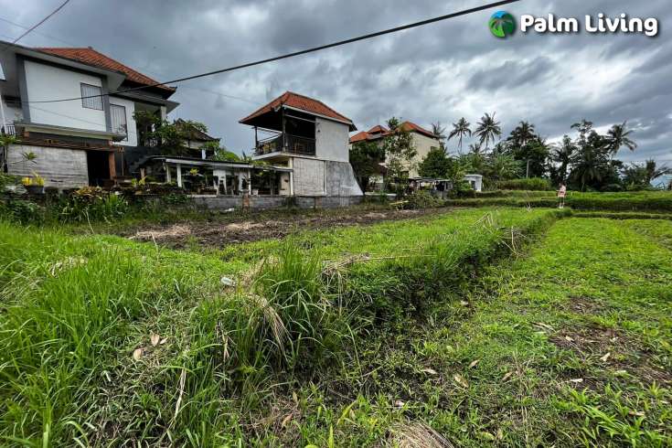 Leasehold Land in Ubud for Sale