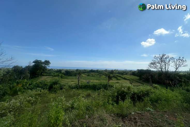 Land for Sale with Stunning Views in Panji