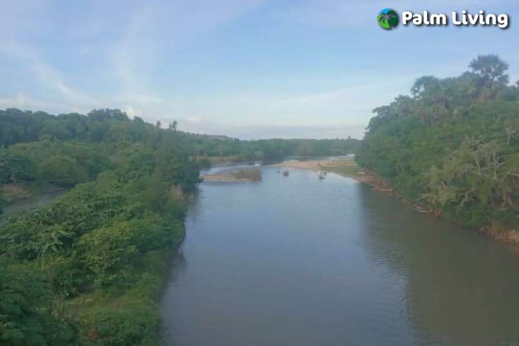 Tranquil Land For Sale in Sumba