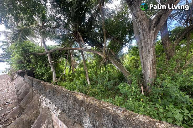 Rare Beachfront Land Close to Lovina