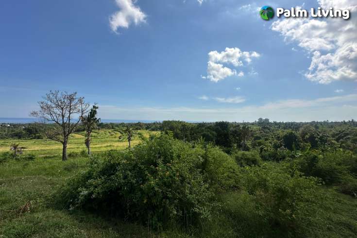 Land for Sale with Stunning Views in Panji