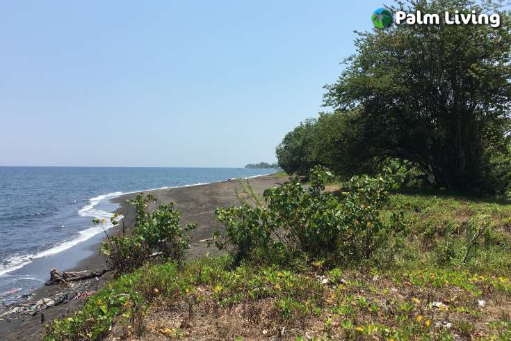 Beachfront Land for Sale in Singaraja