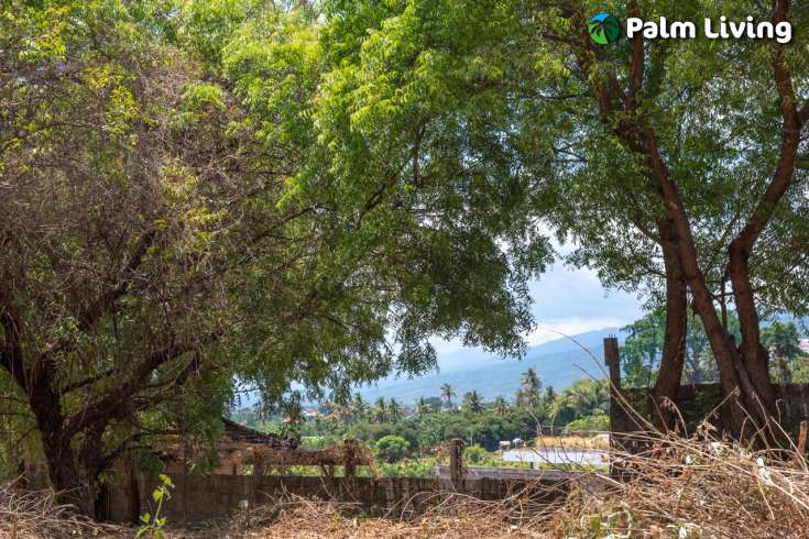 7700m2 plot in tranquil Umeanyar