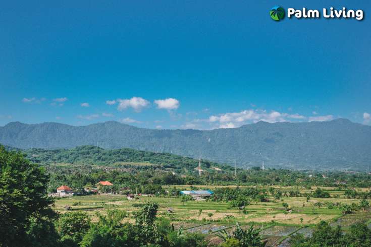 Hillside Land For Sale Bali