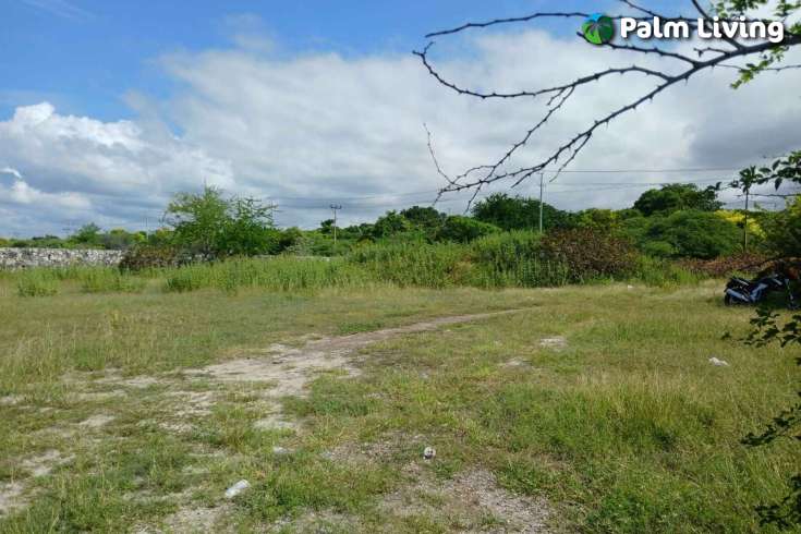 Two Vast Beachfront Plots for Sale in Londolima