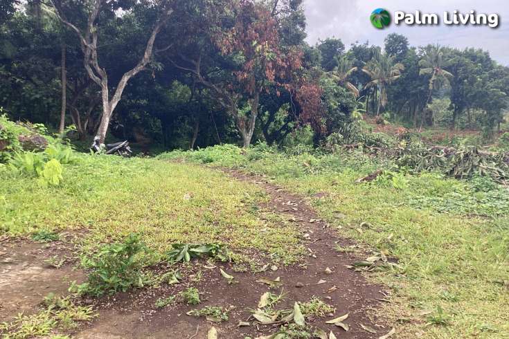 Panoramic Land for Sale in Kayuputih