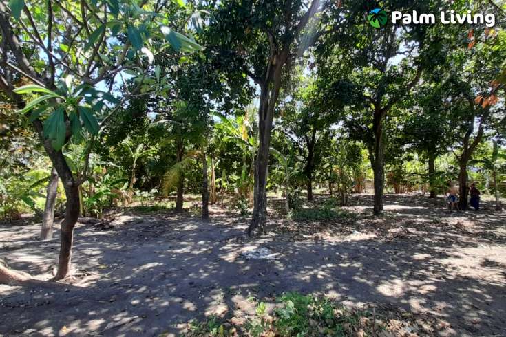 Bali Beachfront Land for sale
