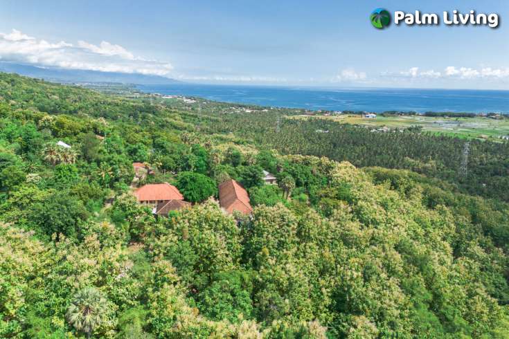 Elevated Big Plot in Kaliasem for Sale