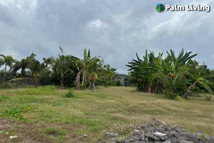 Beachfront Land West Lovina for Sale