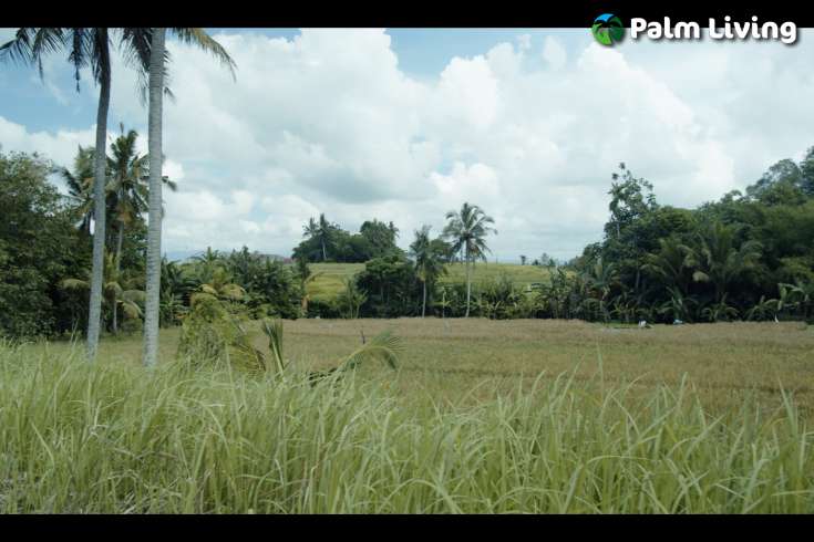 Eco Villa Neighbourhood Project