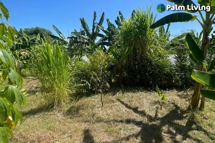 Land Plot in Kayuputih for Sale