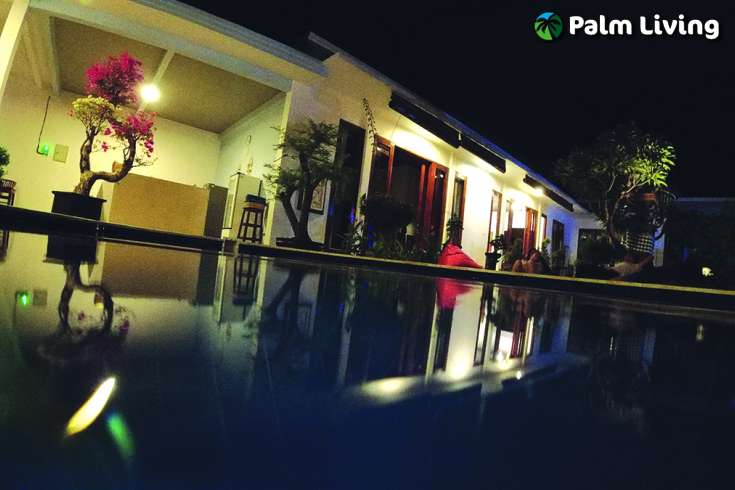Guest House For Sale In Lovina