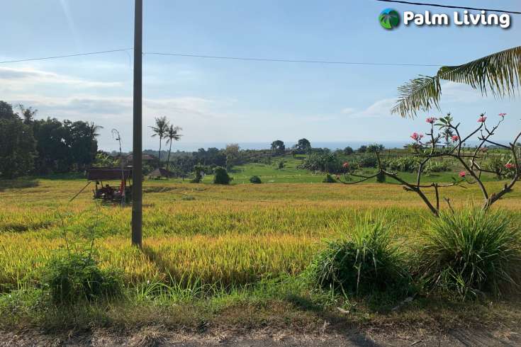 Scenic Land Plot in Panji for Sale