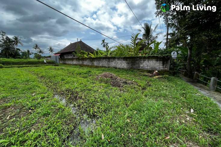 Leasehold Land in Ubud for Sale