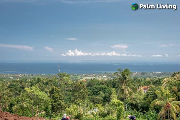 Land Plot Features Ocean View