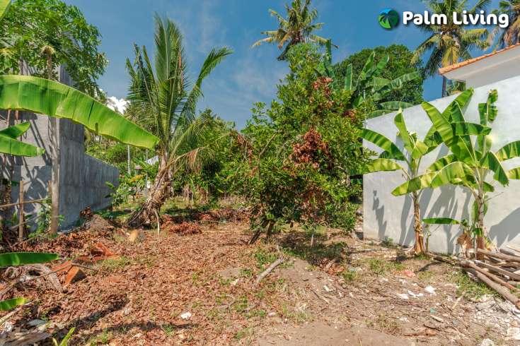Two Private Villa with Spacious Landplot