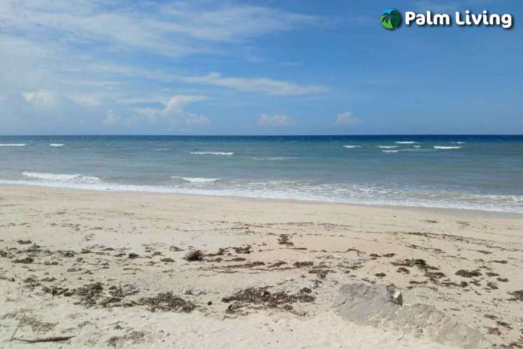 Two Vast Beachfront Plots for Sale in Londolima