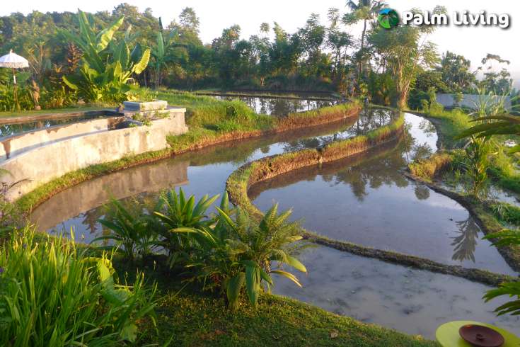Country house for sale in North Bali