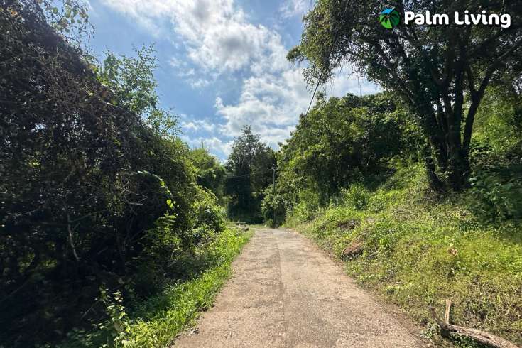 Elevated Big Plot in Kaliasem for Sale