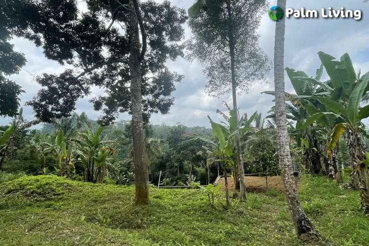 Tegallalang Land for Sale with Good View