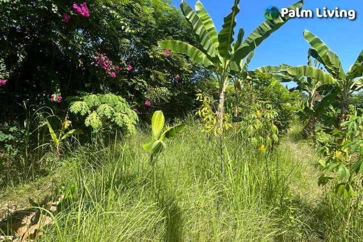 Land Plot in Kayuputih for Sale