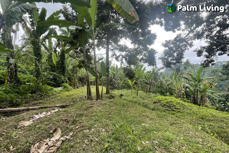 Tegallalang Land for Sale with Good View
