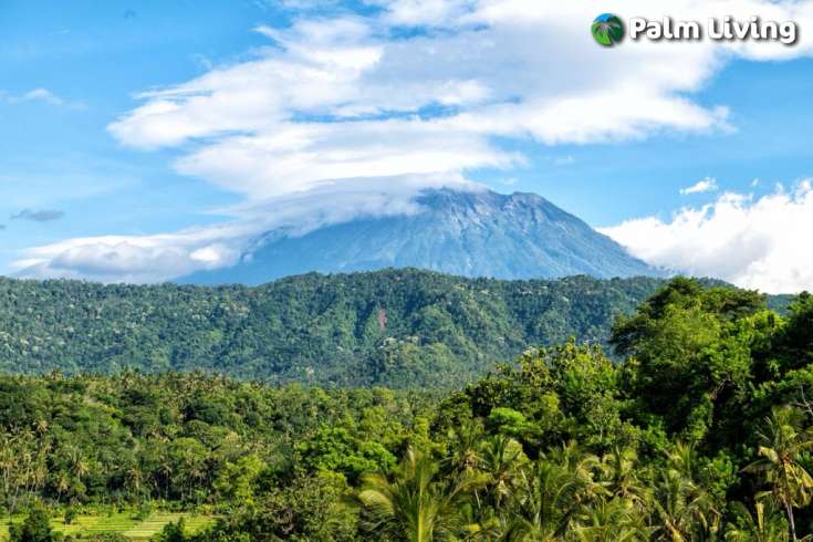East Bali Land for Sale
