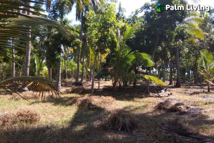 Beachfront Land In Lombok For Sale
