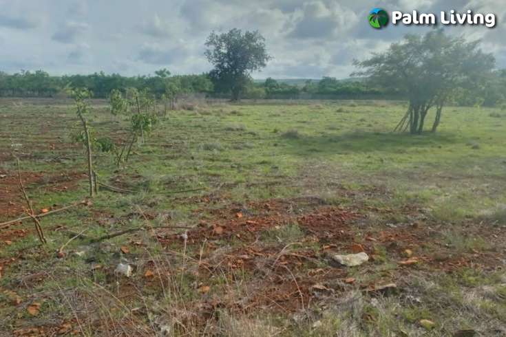 Tranquil Land For Sale in Sumba