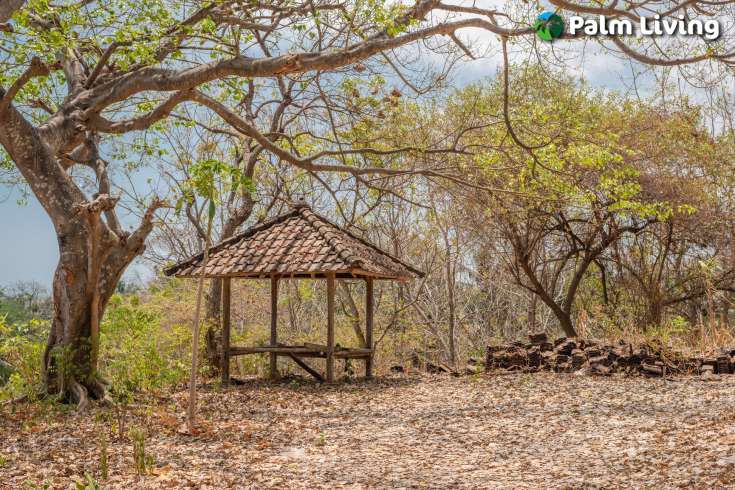 Perfect Land Plot close to Central Lovina